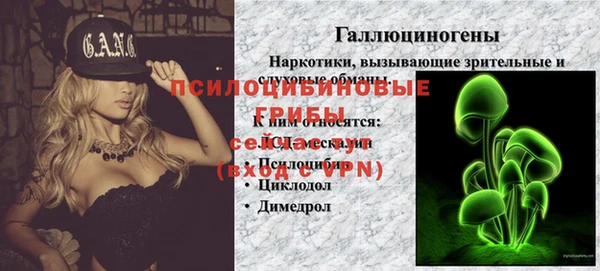 индика Магадан