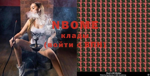 сатива Кострома