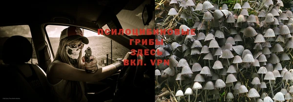 амф Мурманск