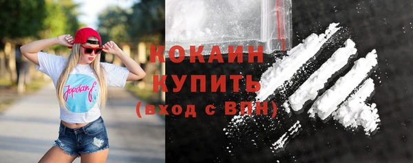 индика Магадан
